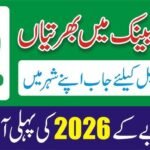 National Bank of Pakistan (NBP)